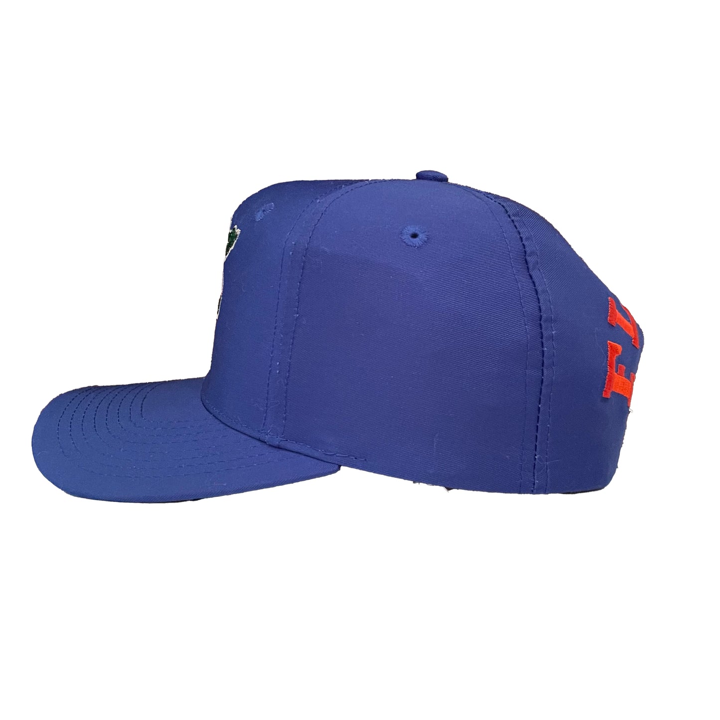 Florida Gators UF hat