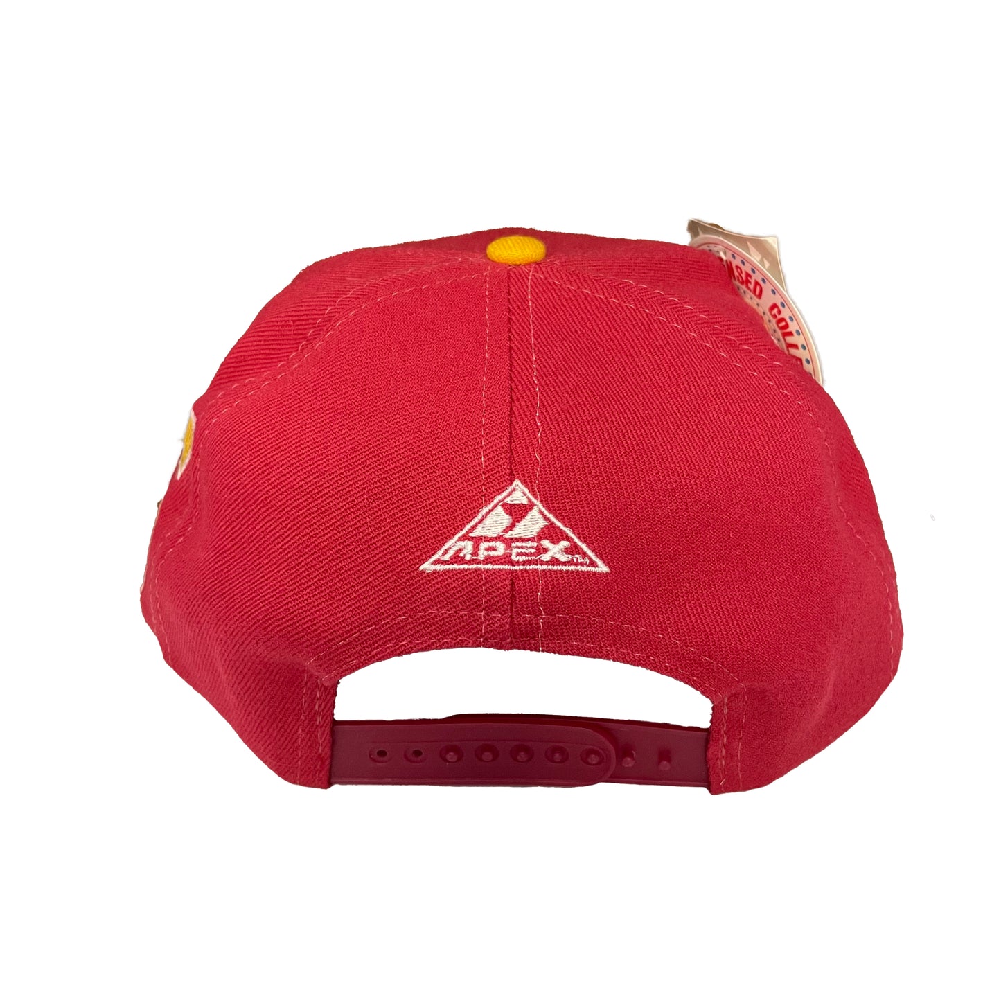 Florida State Seminoles FSU DEADSTOCK APEX hat