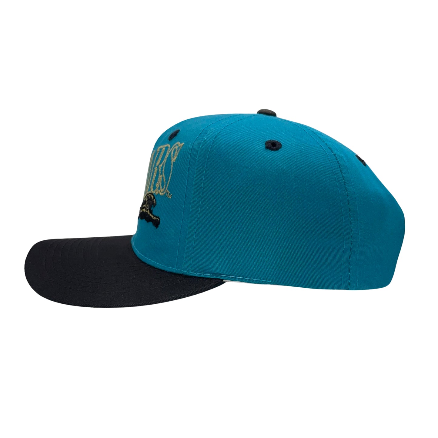 Vintage Jacksonville Jaguars THE GAME banned logo hat