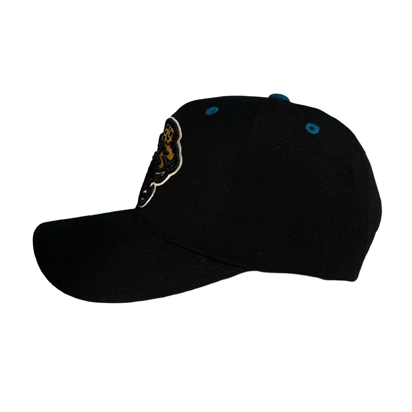 Vintage Jacksonville Jaguars AMERICAN NEEDLE hat