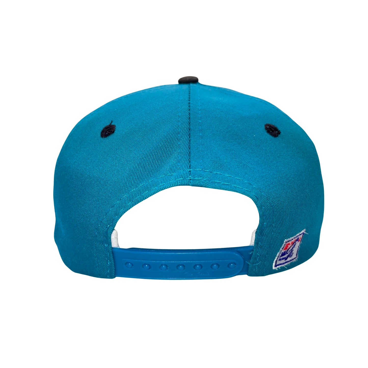 Vintage Jacksonville Jaguars THE GAME banned logo hat