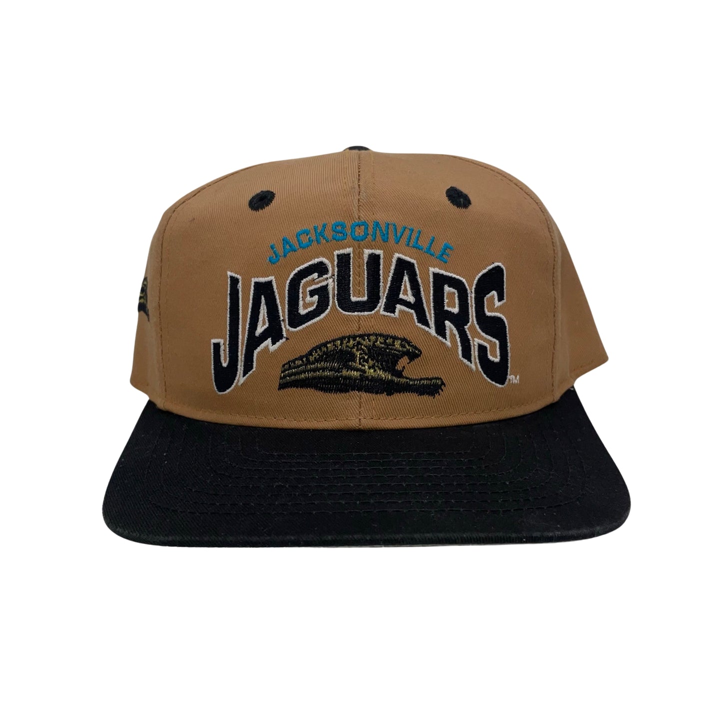 Vintage Jacksonville Jaguars banned logo hat