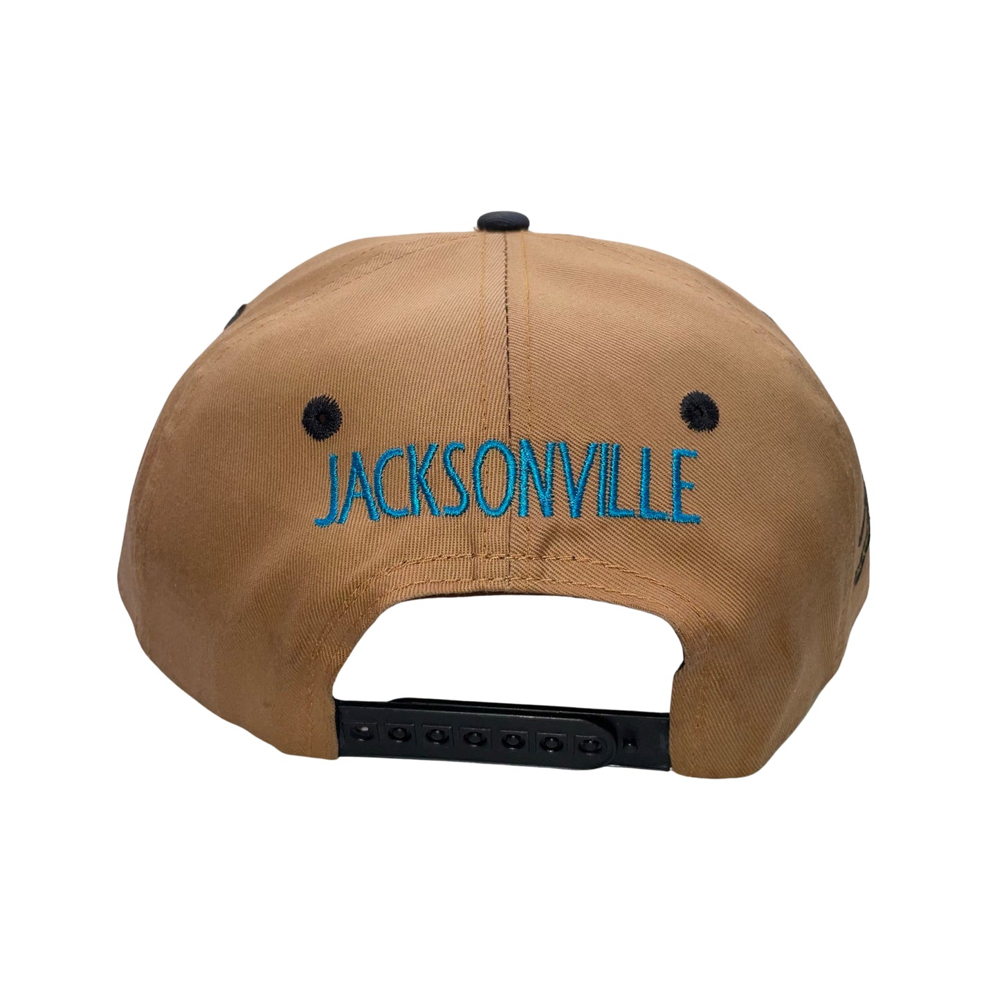 Vintage Jacksonville Jaguars banned logo hat